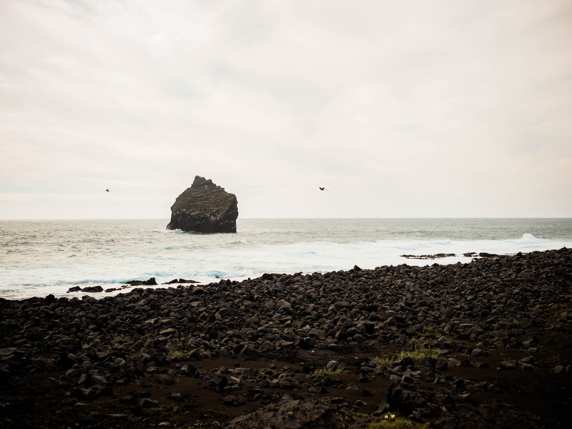 Export x3 P1010534 Fotoshooting Island 2020 Anastasia & Benedikt